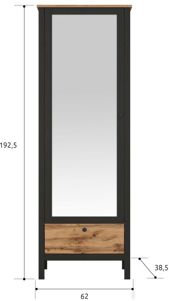 Шкаф распашной BRW Loft SZF1W1S/60 (дуб вотан/черный)