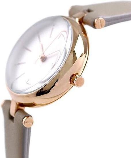 Наручные часы Skagen SKW2643