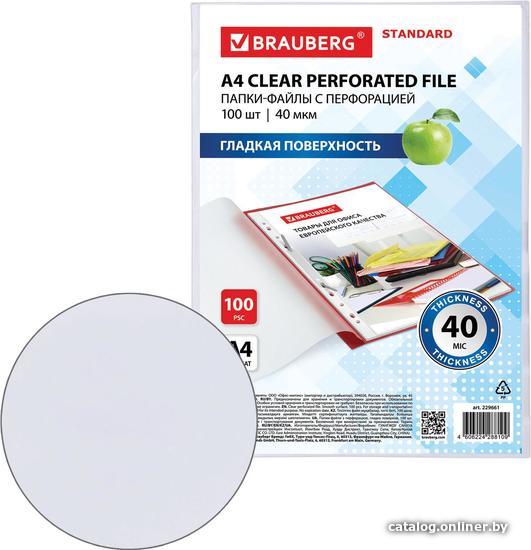 Набор файлов BRAUBERG STANDARD 229661 (100 шт)