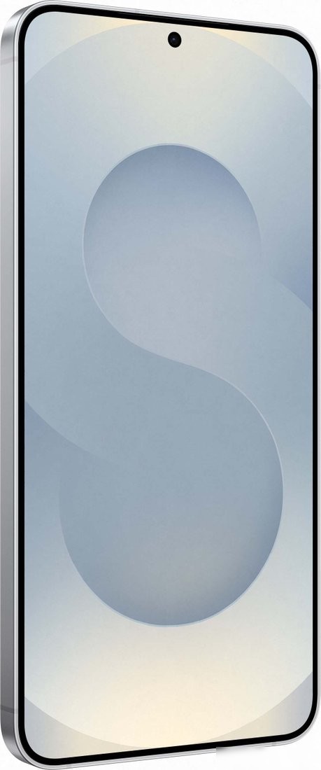 Телефон Samsung Galaxy S25+ SM-S936B 12GB/256GB (серый)
