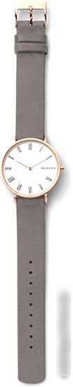 Наручные часы Skagen SKW2674