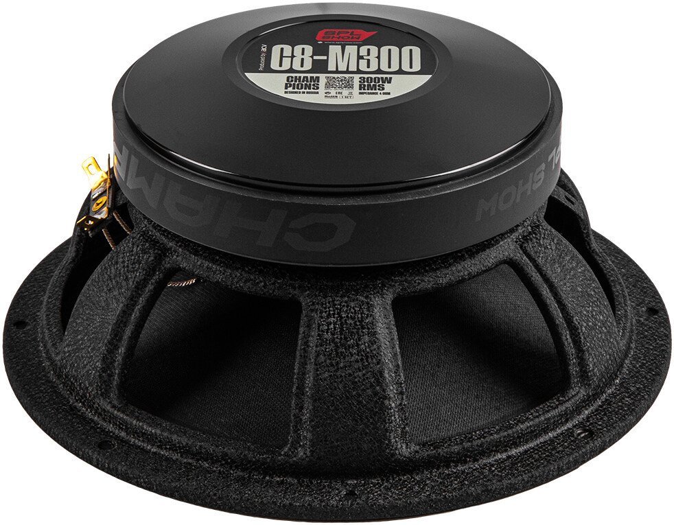 Среднечастотная АС SPL C8-M300