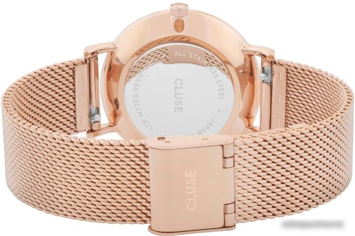 Наручные часы Cluse CW0101203003