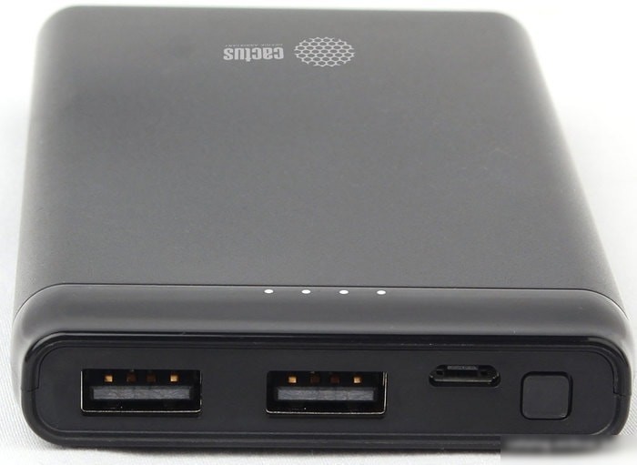 Портативное зарядное устройство CACTUS CS-PBFSFT-10000 (черный)