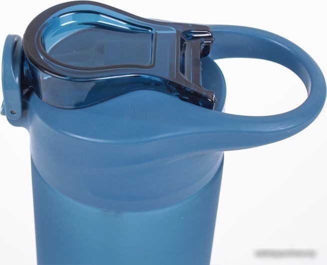 Бутылка для воды Darvish DV-H-1605-1 750мл (синий)