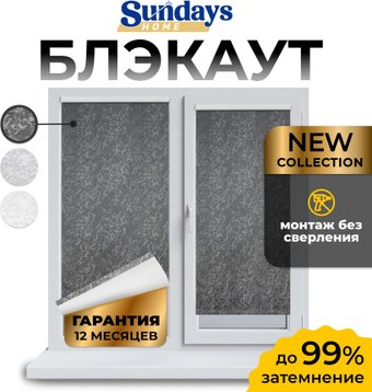 Рулонные шторы Sundays Home LM 97-24 150х170 (темно-серый)