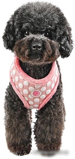 Шлейка Pinkaholic Joceline NARD-HA7363-IP-M (розовый)