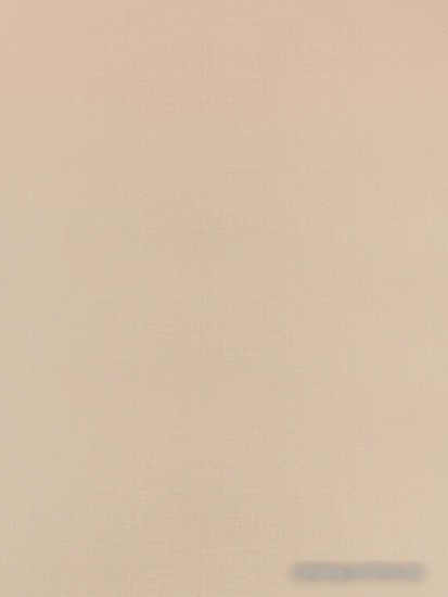 Рулонные шторы Legrand Декор 52x175 (пудра)