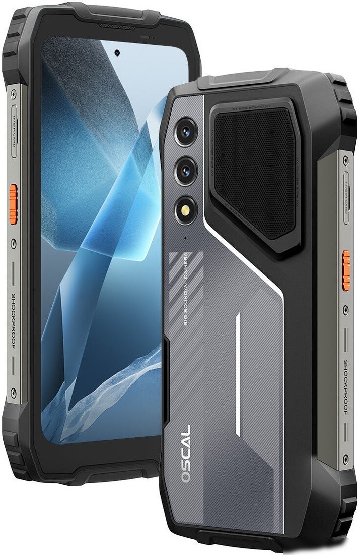 Телефон Oscal Pilot 1 6GB/256GB (черный)