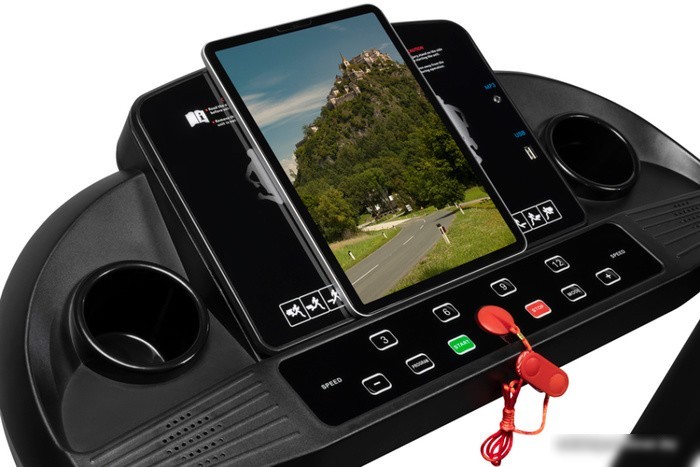 Электрическая беговая дорожка Alpin Runner T-178