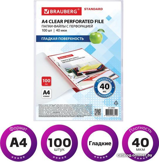 Набор файлов BRAUBERG STANDARD 229661 (100 шт)