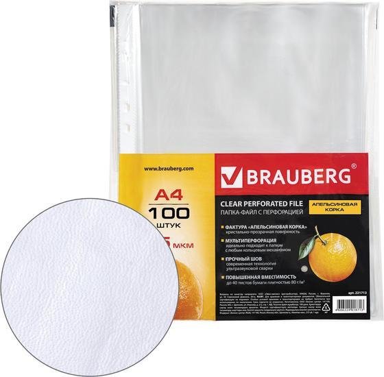 Набор файлов BRAUBERG 221713 (100 шт)