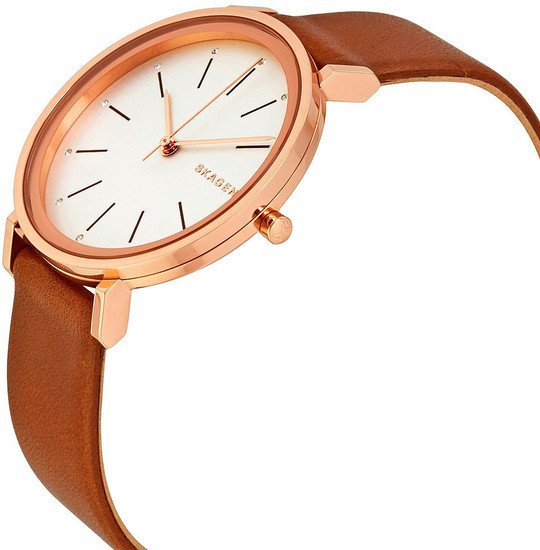 Наручные часы Skagen SKW2488