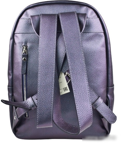 Городской рюкзак Carlo Gattini Premium Albiate 3103-57 (северное сияние)