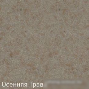 Кухонная мойка Zigmund & Shtain Klassisch 790 (осенняя трава)