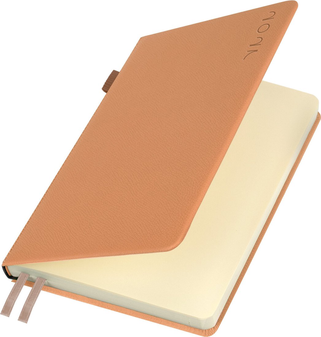 Ежедневник BRAUBERG Essential 2027 118017 (бежевый)
