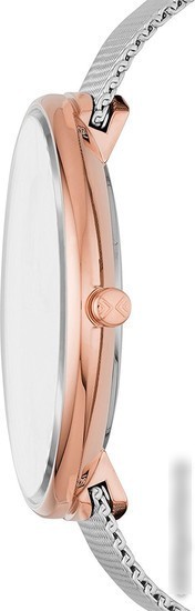 Наручные часы Skagen SKW2583