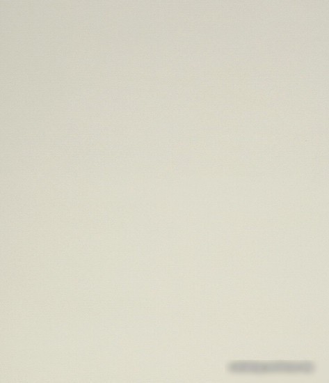 Рулонные шторы Legrand Лестер 98x175 (шампань)