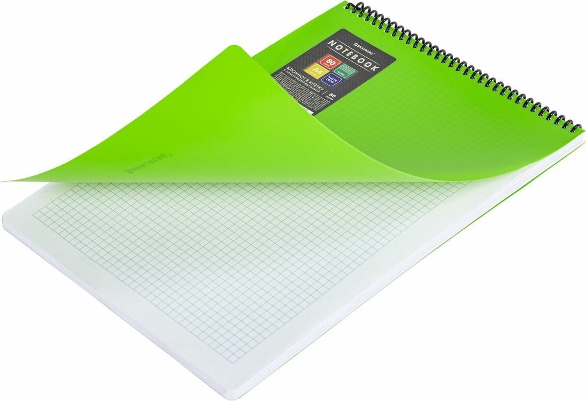 BRAUBERG Metropolis 115575 (80л, зеленый)