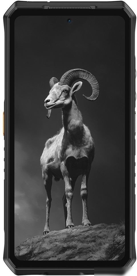 Телефон Ulefone Armor 28 Pro 16GB/512GB (черный)