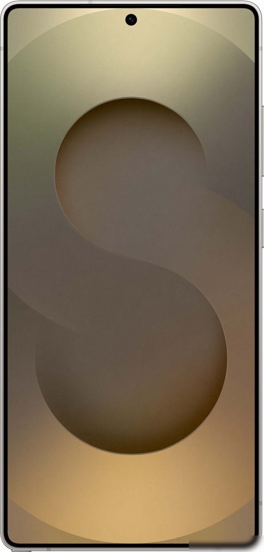Телефон Samsung Galaxy S25 Ultra SM-S938B 12GB/256GB (серый титан)