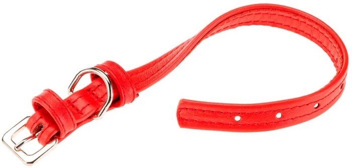 Ошейник Ferplast Vogue Flat CF25/49 76120622 (красный)