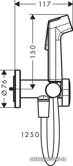 Гигиенический душ Hansgrohe Bidette 1jet S 29232340