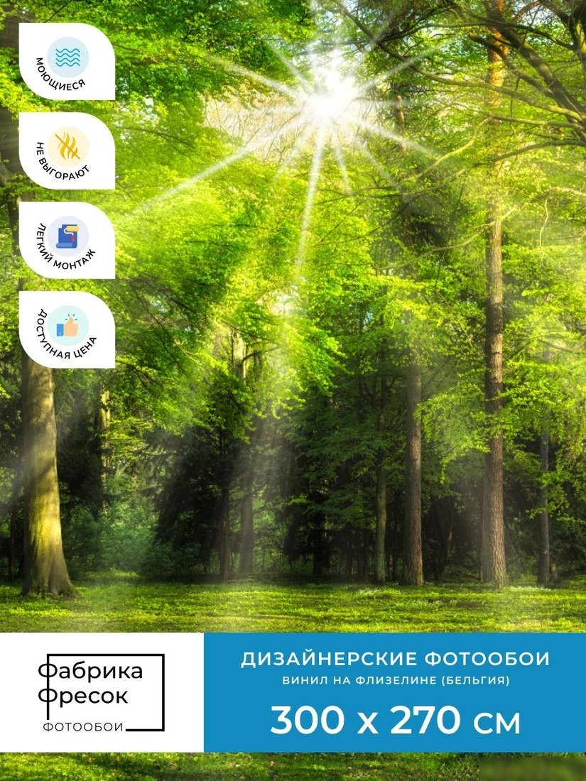 Фотообои ФабрикаФресок Солнечный Зеленый Весенний Лес 1093270 (300x270)