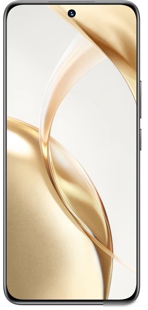 Телефон HONOR 200 12GB/256GB международная версия (вельветовый черный)