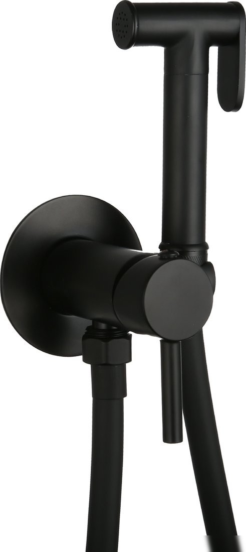 Гигиенический душ Roxen Santi 500940-B