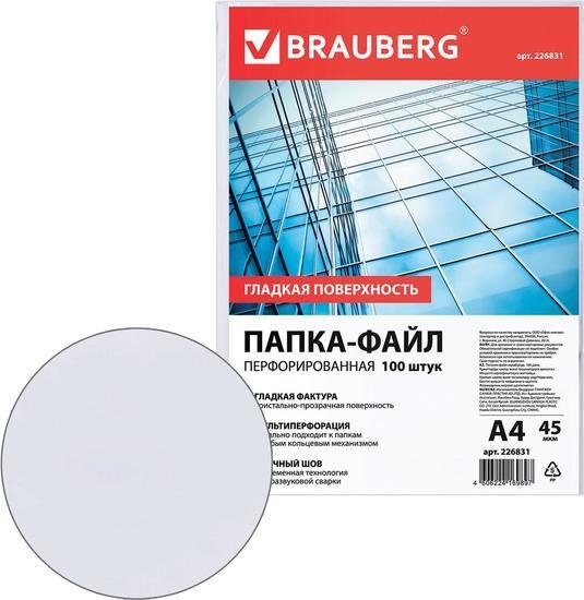 Набор файлов BRAUBERG 226831 (100 шт)