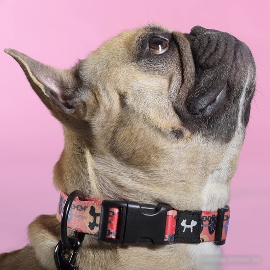 Ошейник United Pets Complete Me Forever Collar (L)