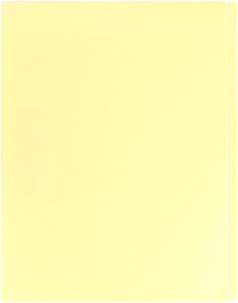 Папка для бумаг Darvish Ice DV-1772IE-OR (желтый)