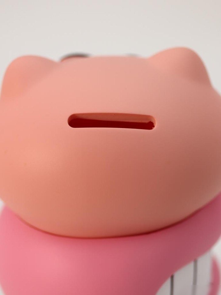 Копилка для денег ILikeGift Piggy fun 1063-17