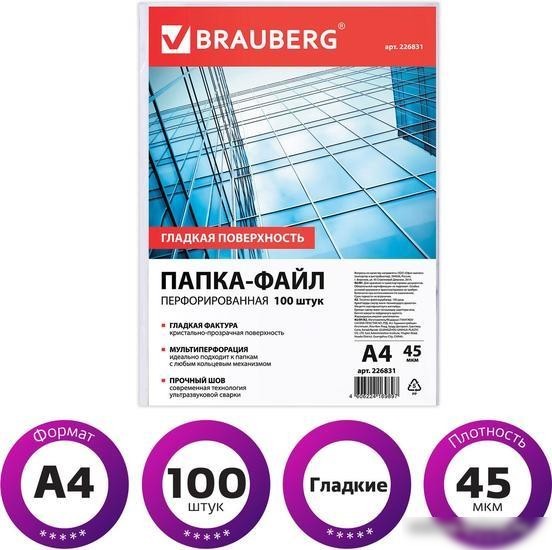 Набор файлов BRAUBERG 226831 (100 шт)