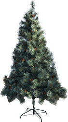 Сосна Merry Bear Келли 1.5 м