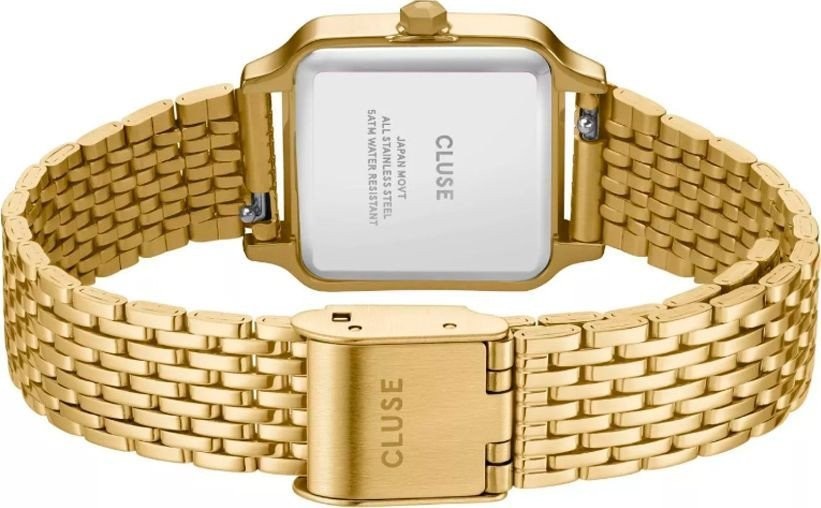 Наручные часы Cluse CW11815