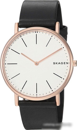 Наручные часы Skagen SKW6430