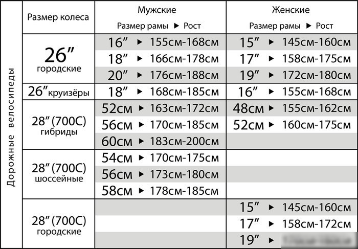 Велосипед Stinger Gravix Evo 56см 2023
