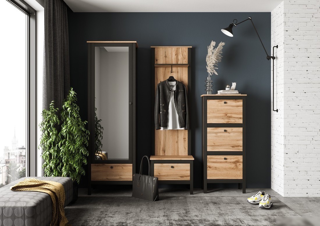 Шкаф распашной BRW Loft SZF1W1S/60 (дуб вотан/черный)