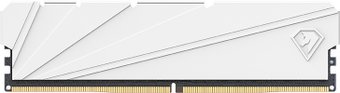 Оперативная память Netac Shadow S 16ГБ DDR4 2666 МГц NTSDD4P26SP-16W