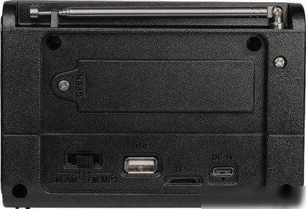Радиоприемник Ritmix RPR-020