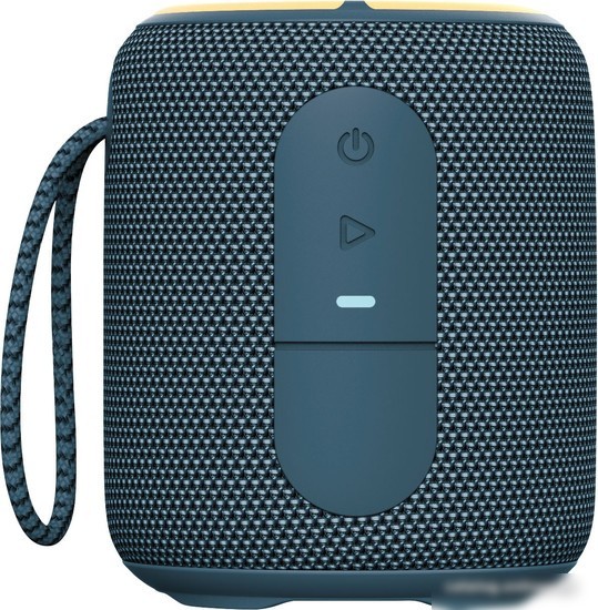 Беспроводная колонка Aiwa PAS-H100 (темно-синий)