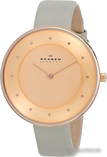 Наручные часы Skagen SKW2139