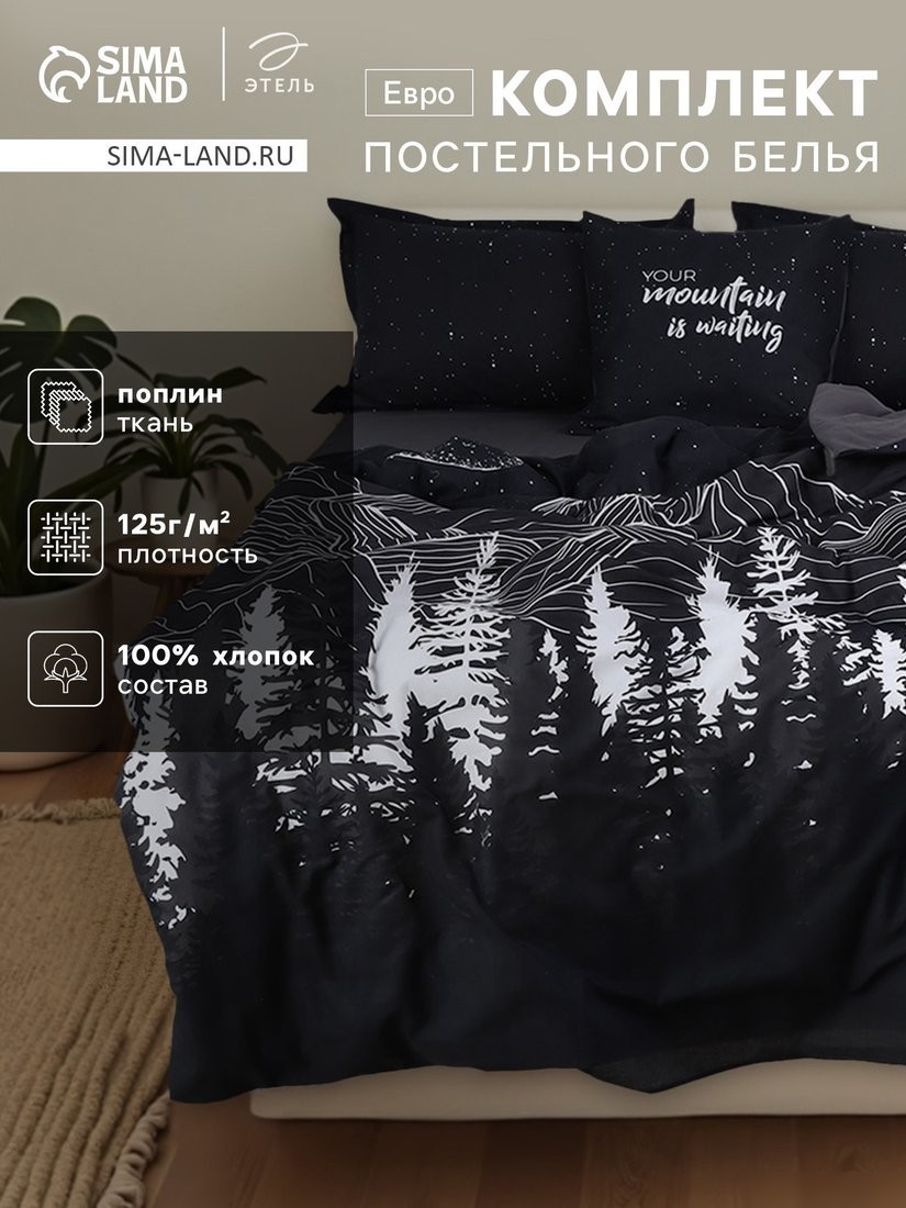 Постельное белье Этель Полярная ночь 10706911