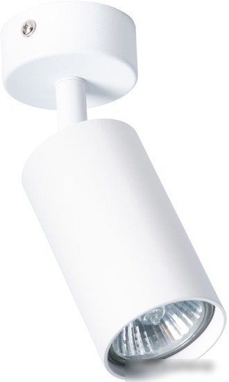 Спот Arte Lamp Aquarius A3216PL-1WH Спот Arte Lamp Aquarius A3216PL-1WH