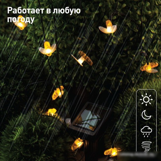 Разветвитель для гирлянд ЭРА ERAPS-K800