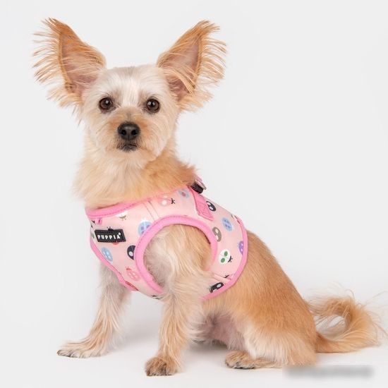 Шлейка-жилетка Puppia Lady Beetle-B PAWA-HB1957-PK-S (розовый)
