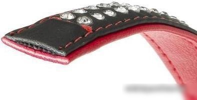Ошейник Ferplast Lux C15/28 76030117 (черный)