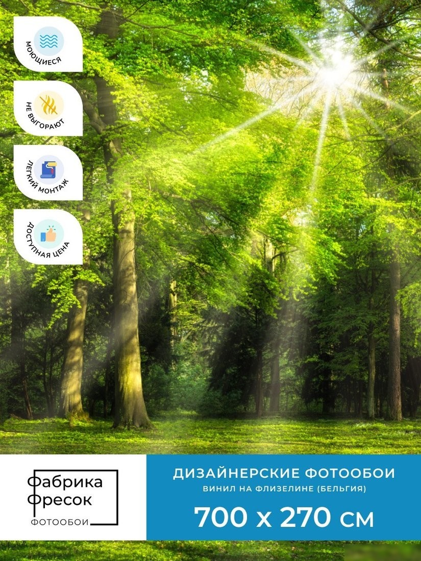 Фотообои ФабрикаФресок Солнечный Зеленый Весенний Лес 1097270 (700x270)